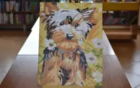 zMALUJmy coś w bibliotece 22