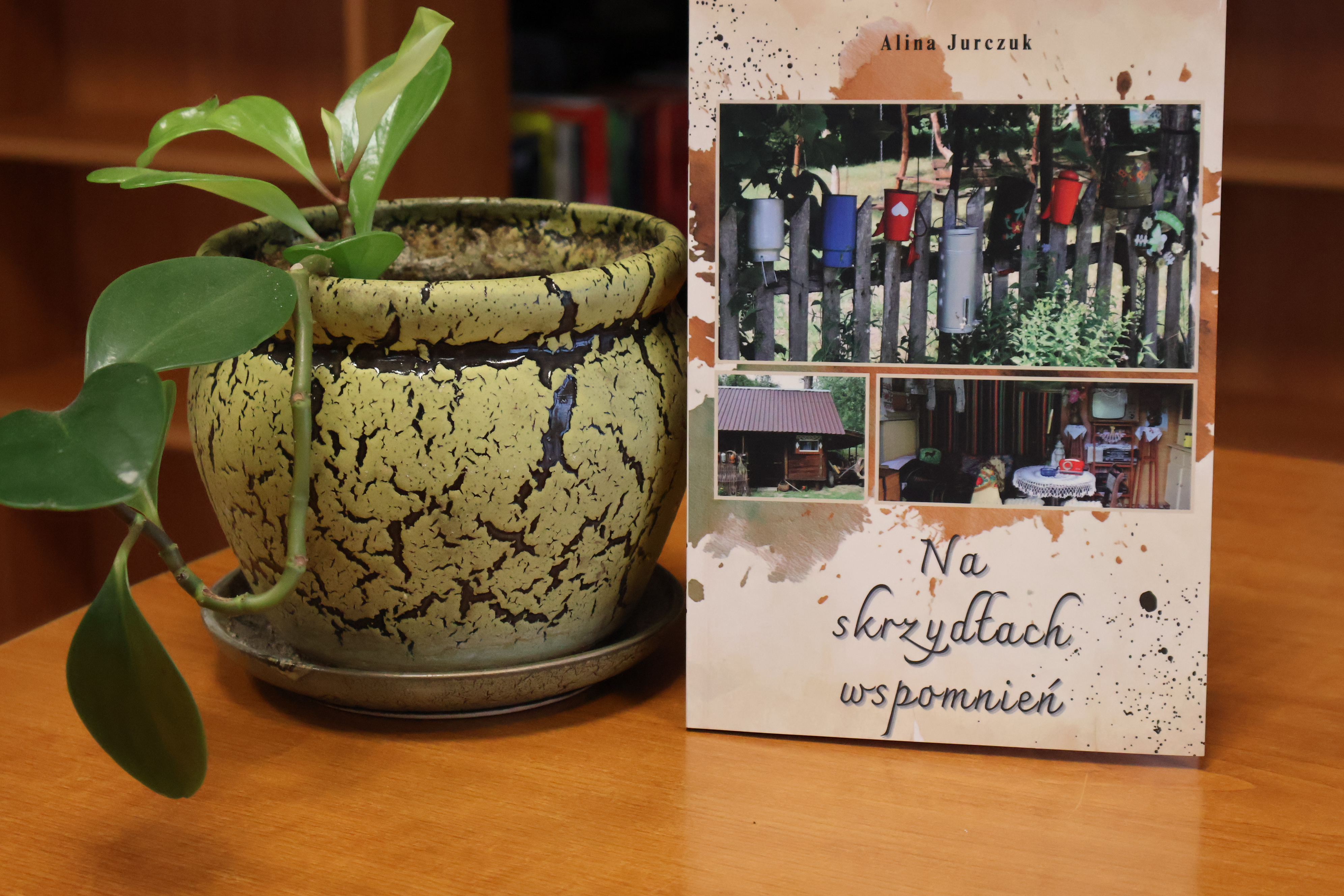 alina_jurczuk_ksiazka